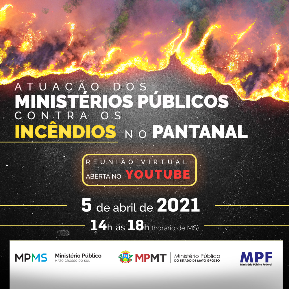 Atuação dos Ministérios Públicos contra os incêndios no Pantanal
